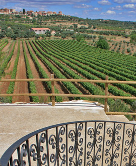 Horta de Sant Joan